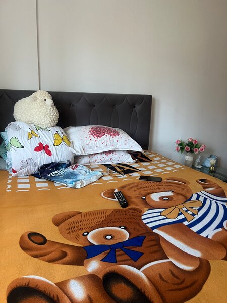 Petre Ispirescu, Malcoci,